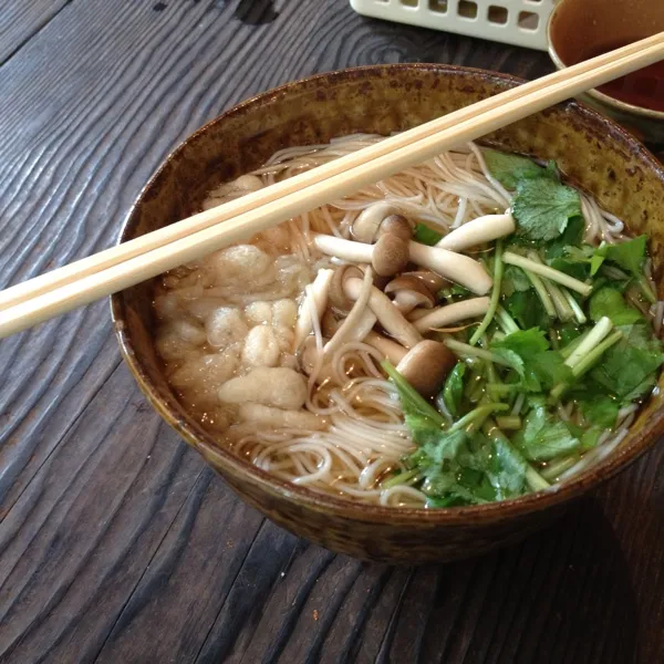 今日はお母さんと三輪山登りに行ったあ！！
帰りに有名なにゅうめん食べた（≧∇≦）
銀竜草って有名なんやって！|ひとみンさん