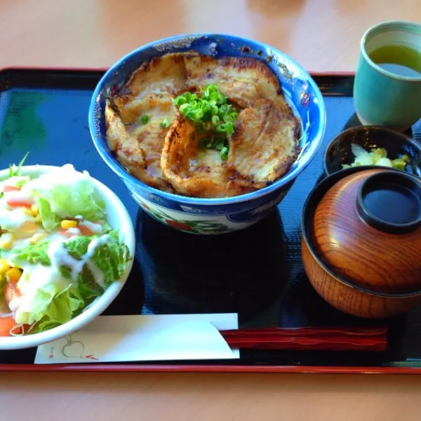 姫豚丼(味噌)予想外にうまかった！世間は三連休かぁ(´д｀)|オリオンさん