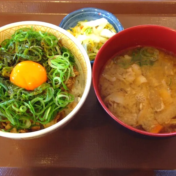 Snapdishの料理写真:ネギ玉牛丼＆とん汁おしんこセット|オリオンさん