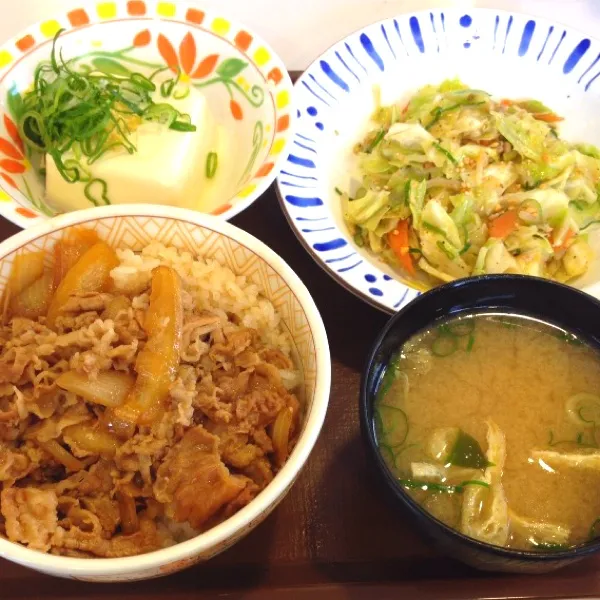 塩だれ野菜牛丼健康セット|オリオンさん