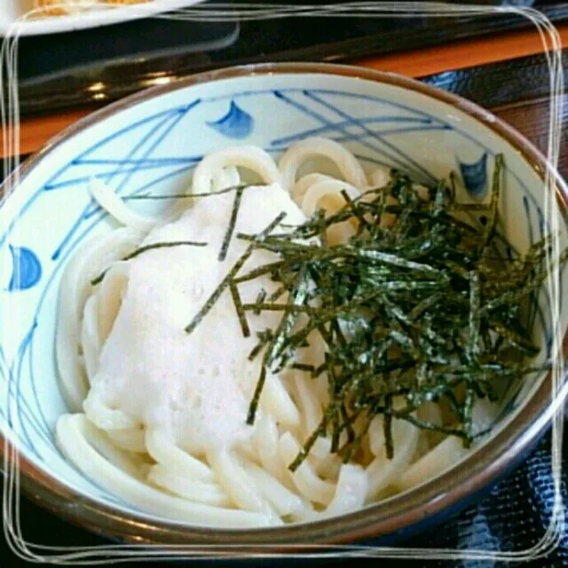 とろろうどん食べてきた♡
コシがあって、ココのうどん好き( ´艸｀)
新メニュー明太あんかけ気になったけど、スルーしちゃった～次、食べてみよっっ(♥ó㉨ò)ノ|さっちんさん