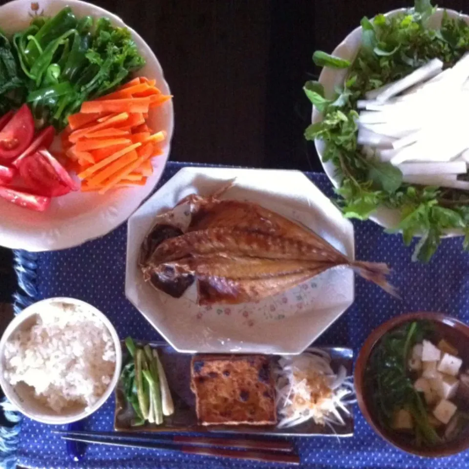 アジの開き、あげ豆腐、サラダタマネギ、大根、ルッコラ、ピーマン、菜ばな、ニンジン、ホウレンソウ。ミツバの吸物。|kyondonさん