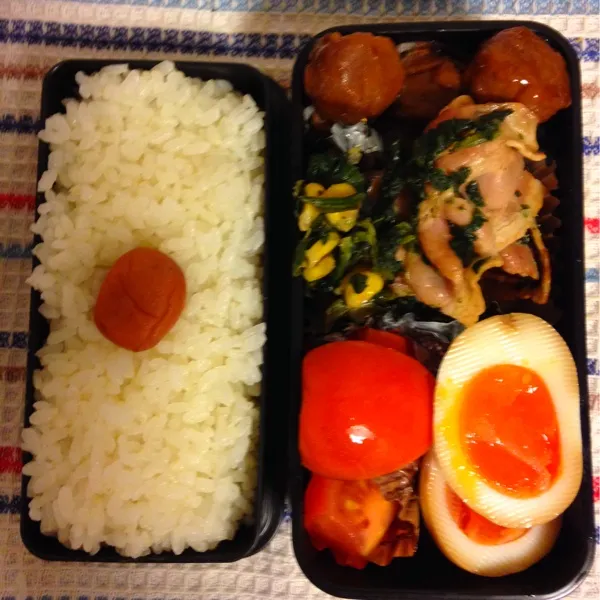 今年最後のお弁当^_^|しびる1126さん