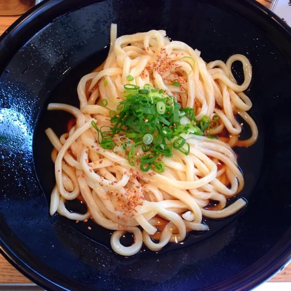 近くに新規オープンしたうどん屋です
味は微妙でした|うどんくんさん