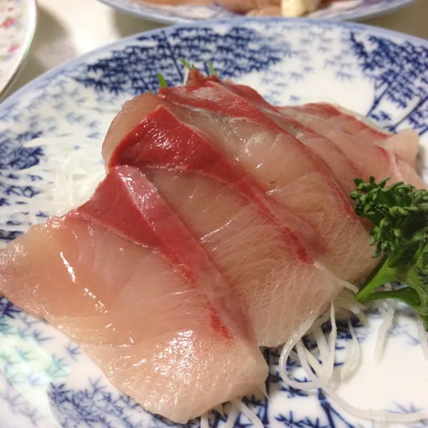 今日の魚は、ブリトロのお造りなり！
この寒いのに室温で脂が溶けてるし…
醤油に漬けたら、脂がぱぁ〜っと広がるダヨ！
(=^ェ^=)|うぉずさん