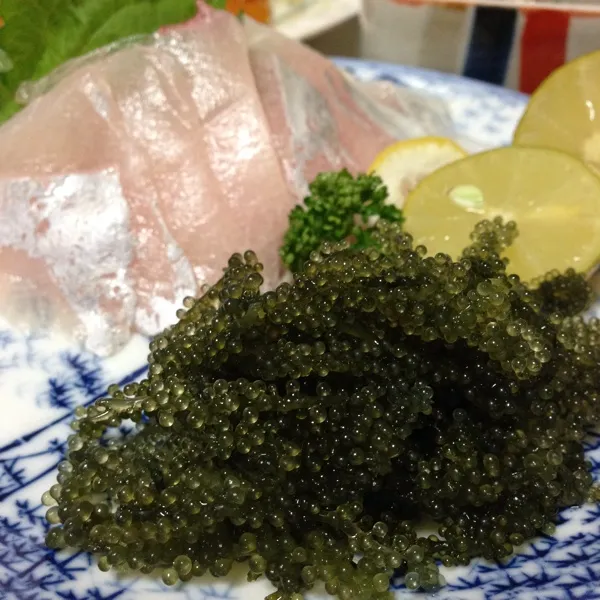 今日の魚は、カンパチのお造りと海ぶどうなり！
海ぶどうはスダチを絞ったポン酢で…
食感が楽しいねぇ〜
カンパチ…脂がのっててメチャ甘いよぉ〜
(=^ェ^=)|うぉずさん