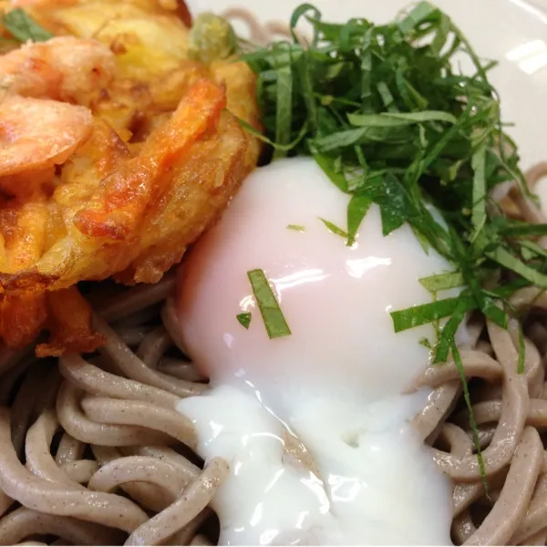 お昼は、かき揚げのぶっかけ蕎麦なり！
バランスがどうかと思ったけど、温たまも乗っけてみましたぁ〜
(=^ェ^=)|うぉずさん