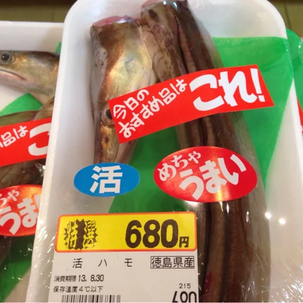 Snapdishの料理写真:本日の特売っ！
鱧６８０円なり！
週末に贅沢したから、ちょっと抑えやうと思ってたけど、このお値段は買いでしょ！
ヾ(＠⌒ー⌒＠)ノ|うぉずさん