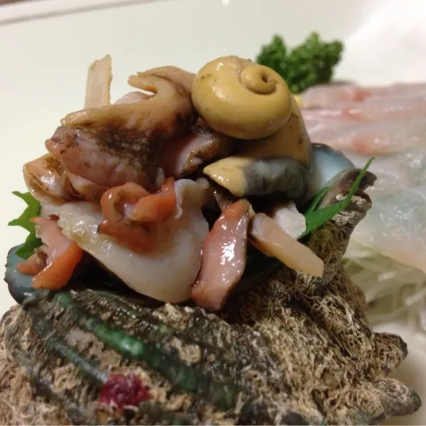 ふぅ〜
昨日の煮物がたくさん残ってるので安心してたら、今日もこんな時間に…
今日の魚は、アタリのサザエとあこうのお造りなり！
(=^ェ^=)|うぉずさん