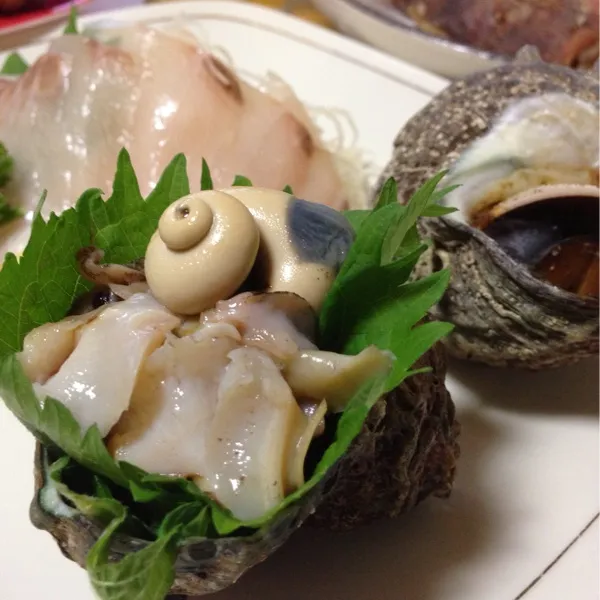 さあ〜今日も遅くなったけど、週末恒例の居酒屋モード、はじまりはじまり…
魚はサザエとヒラアジのお造りと、サザエのつぼ焼きなり！
今回のサザエはコレでおしまいっ！
美味しかったぁ〜
(=^ェ^=)|うぉずさん