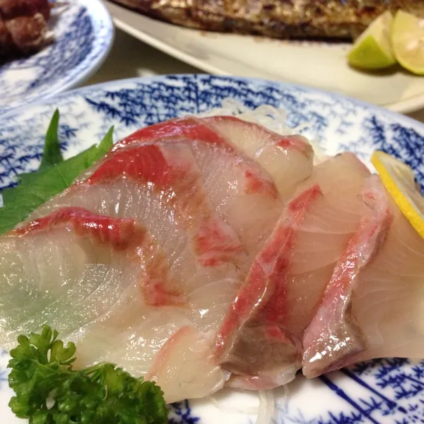 Snapdishの料理写真:今日の魚はヒラマサのお造りなり！
ちょっと凍らせてルイベっぽくしてみましたよ！
キリッと冷えたキクマサロックに合うっ！
(=^ェ^=)|うぉずさん