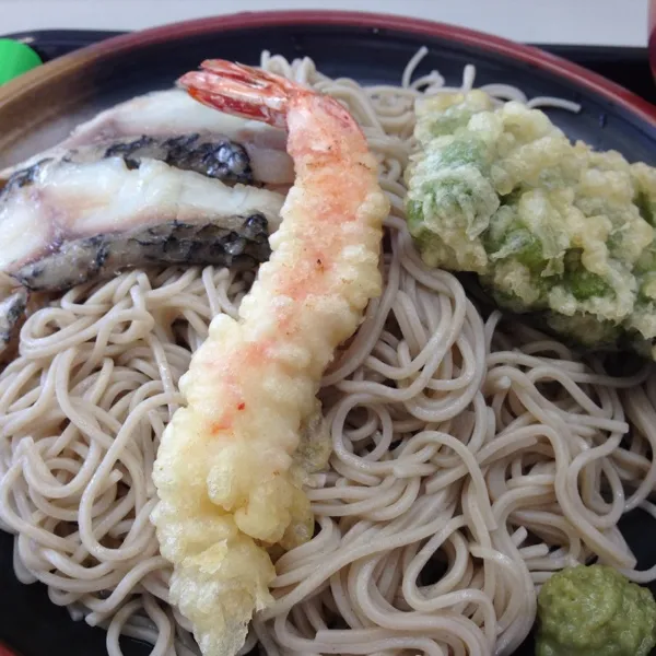 Snapdishの料理写真:お昼は天ザルなり！
ソーメンのつもりでチヌの炊いたのを持って来たんだけど、スーパーのお惣菜コーナーで天ぷらを見つけて、急遽天ザルに変更…
(=^ェ^=)|うぉずさん