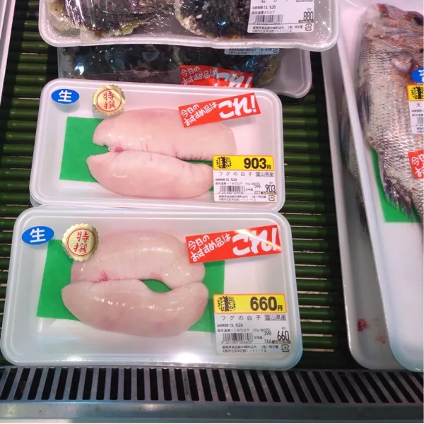 Snapdishの料理写真:今日の特売品は…
やっと出て来ましたよ！
河豚の白子っ！河豚は冬が旬だけど、白子はコレからが旬なんだって！
この大きさのがまだまだ安くなってくるんだよぉ〜
あとバカみたいに安いチヌも…
(=^ェ^=)|うぉずさん