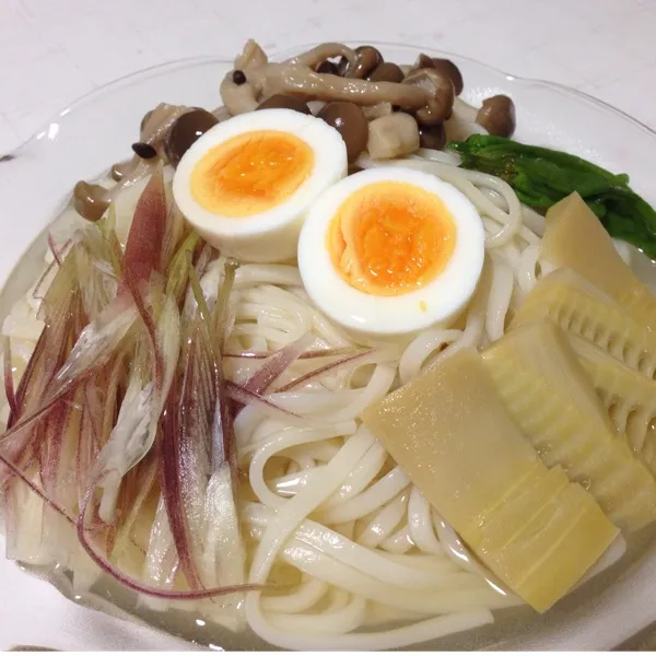 冷やしぶっかけうどん大盛りなり！
乾麺のうどんを二束使いましたよ！
んで、この間の鍋出汁をキンキンに冷やしてたら、トロっとゆるい煮凝りになってたよ！
メチャ旨っ！
(=^ェ^=)|うぉずさん