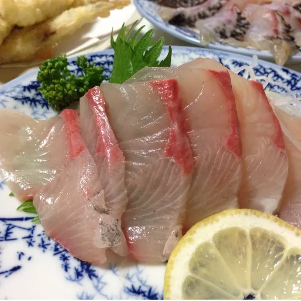 今日の魚はカンパチのお造り１４９円なり！
(=^ェ^=)|うぉずさん