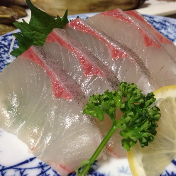 Snapdishの料理写真:今日の魚はカンパチのお造り１４９円なり！
ん〜〜〜
やっぱりコリコリしてて美味しい…
(=^ェ^=)|うぉずさん