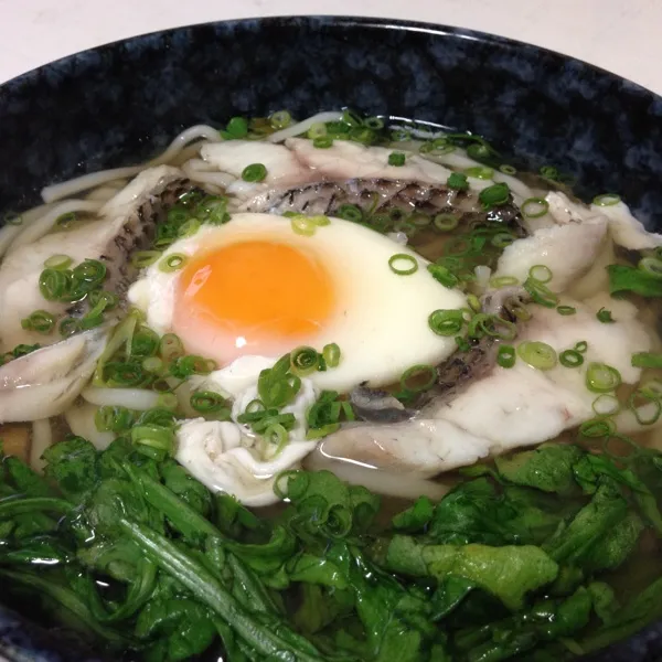 お昼は昨日の残り出汁でチヌうどんなり！
チヌは皮が鯛よりしっかりしてて炊いてもコリコリしてて美味しいよぉ〜
なんか普通の茹でうどんだけど、稲庭風ってのが有ったので使ってみた…
(=^ェ^=)|うぉずさん