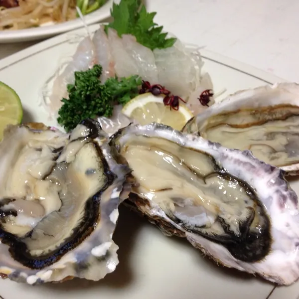 今日の魚はスズキのお造りと、生牡蠣なり！
今日のスズキは魚屋さんの超自信作みたいで、１ｍオーバーの大きなヤツをわざわざ捌いてお造りにしてくれたのよ！
メチャ旨っ！
(=^ェ^=)|うぉずさん