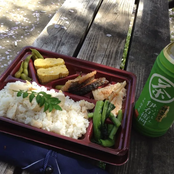 Snapdishの料理写真:今日はお弁当作って、お花見気分…
昨日のタケノコご飯や照り焼きを詰めてきましたよ！
すんごい桜吹雪で見てる間にお弁当にも桜の花びらが…
(=^ェ^=)|うぉずさん