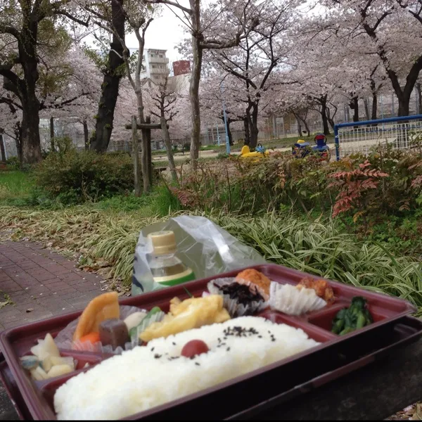 今日もお昼は、お花見モードなり！
かまどやの幕の内弁当で…
気持ちが良いけど、お弁当は高くつくなぁ〜
ま、コレも今週いっぱいかなぁ〜
(=^ェ^=)|うぉずさん