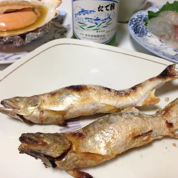 Snapdishの料理写真:んで、鮎の塩焼きなり！
熱々に蓼酢をたっぷりかけて頂きまする…
鮎は魚焼きの網を改造して、こんな風に焼いてまするよ！
(=^ェ^=)|うぉずさん