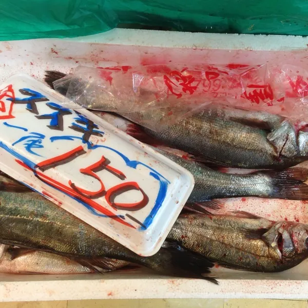 ちょっとグロっぽいけど…
４５〜５０㎝くらいのふっこクラスのスズキが一尾１５０円でしたよ！
もちろんお取り置きっ！
(=^ェ^=)|うぉずさん