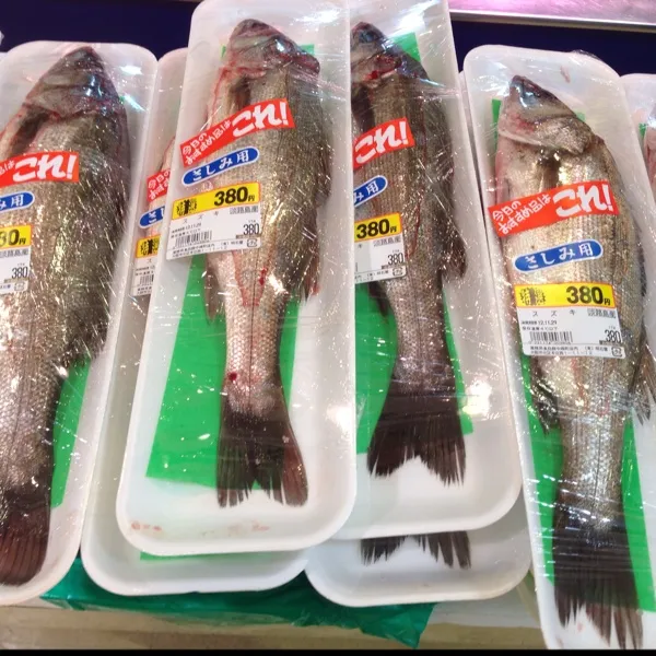 お昼にいつもの魚屋さんに偵察に行ったら、鱸…ってより、フッコかな…が、３８０円だったので一尾キープしてもらったデスよ！
さて、何にしょうかなぁ〜
あん肝もこんな感じで安いよぉ〜
(=^ェ^=)|うぉずさん