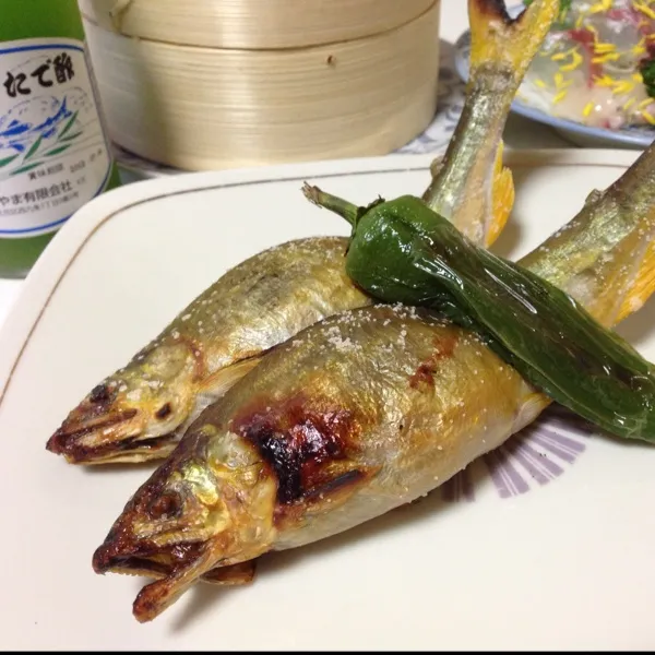 落ち鮎なり！
まぁ〜子持ち鮎で卵でパンパンなんだけど、この間のより魚体がかなりやつれてたよ！
そろそろ最後の鮎かなぁ〜
ジュウジュウいってる鮎に蓼酢をたっぷりかけて…
(=^ェ^=)|うぉずさん