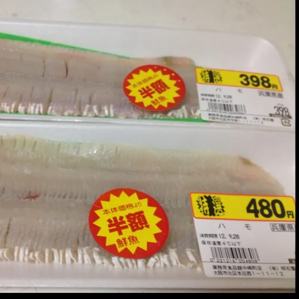 本日の獲物っ！
小さ目の鱧二尾で４３９円なり！
大きい方を鍋に…
小さい方は明日、なんかに…
ヾ(＠⌒ー⌒＠)ノ|うぉずさん