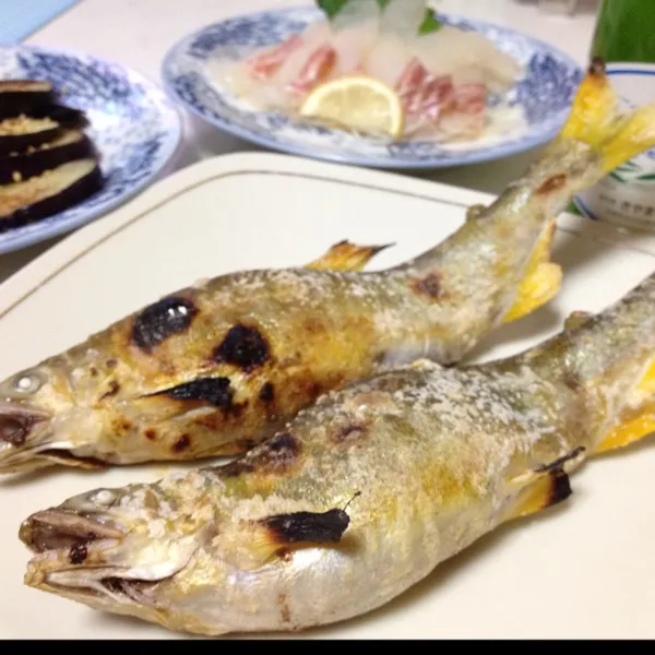 メインは子持ち鮎の塩焼きっ！
鮎だけは写真を撮るのももどかしいよぉ〜
焼きたての熱々に蓼酢をジュッとかけて、むしゃぶりつきたいっ！
もう頭を落としただけで、骨ごと丸かじりですよ！
(=^ェ^=)|うぉずさん