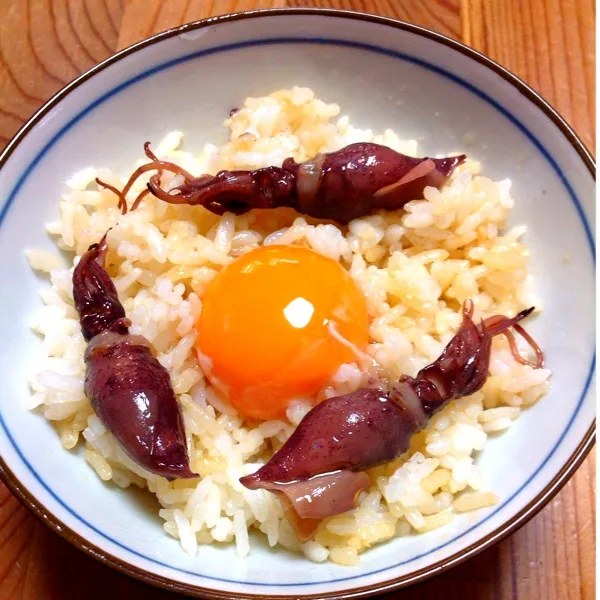 即席ホタルイカ丼！！
あつあつごはんに、缶詰のホタルイカのオイル漬けのオイルとお醤油を垂らしてまぜまぜ、卵の黄身をON！
これだけでバカうま(｡>∀<｡)|ぃちさん