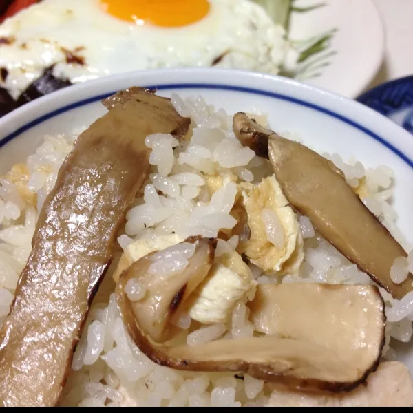 松茸ご飯なり！
今日のメインがハンバーグだったので、ホントは白ご飯にしたかったんだけど、松茸ご飯の方が先に炊いていたので…
スダチを絞って食べると、美味しいよぉ〜
(=^ェ^=)|うぉずさん