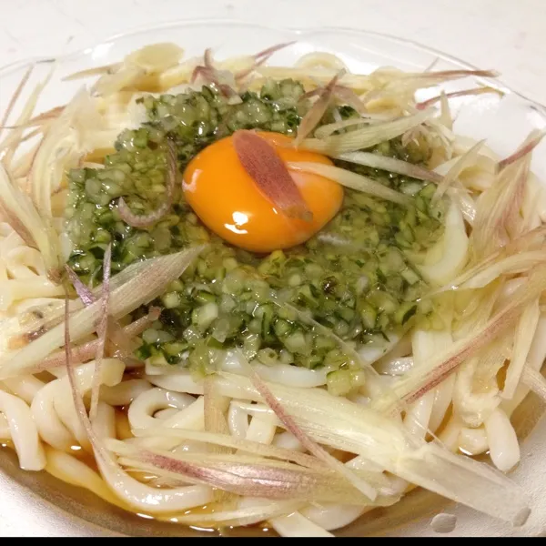 讃岐の生麺が売ってたので、山形のだしと茗荷で冷やしぶっかけうどんなり！
ツルツルシコシコしてて美味しいよぉ〜
(=^ェ^=)|うぉずさん