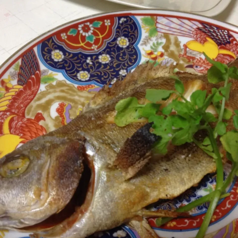 メインはイサキの塩焼きなり！
今日は魚尽くしだよぉ〜
んまいっ！
(=^ェ^=)|うぉずさん