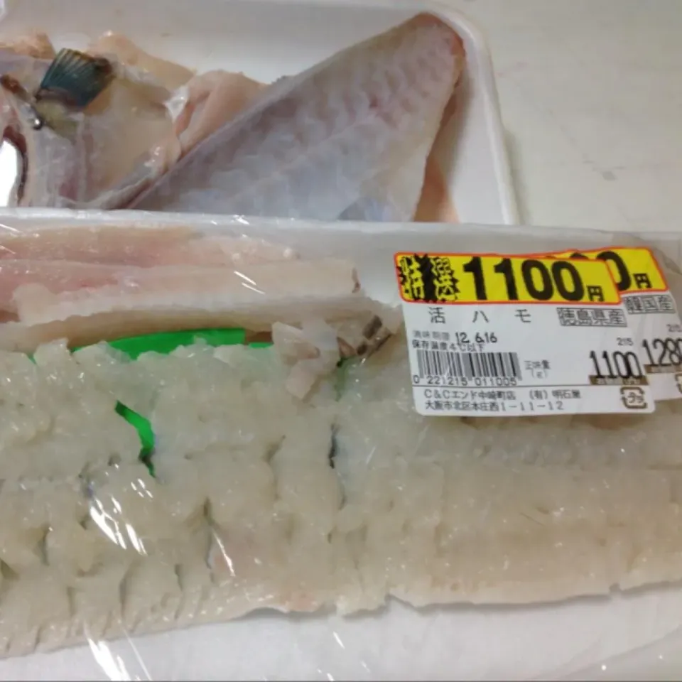 鱧を買ったら値引きしてくれた上にカワハギのオマケまで…
なんかこの鱧が魚屋さんの気に入らなかったみたいでカワハギを付けてくれたらしい…
マイペイライのわっちには美味しければ無問題っ！
(=^ェ^=)|うぉずさん