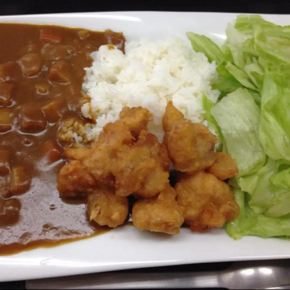 唐揚げカレーなり！
レトルトの大辛カレーが６９円だったので、１５０円の唐揚げをトッピングしてみましたよ！
(=^ェ^=)|うぉずさん