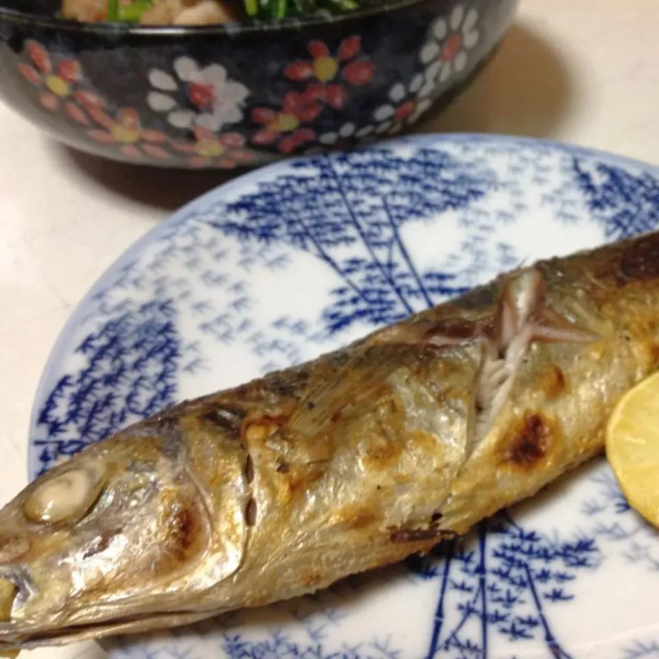 アジの塩焼きなり！ 熱々にスダチを絞ってお醤油をたらり… 美味しいよぉ〜 (=^ェ^=)|うぉずさん