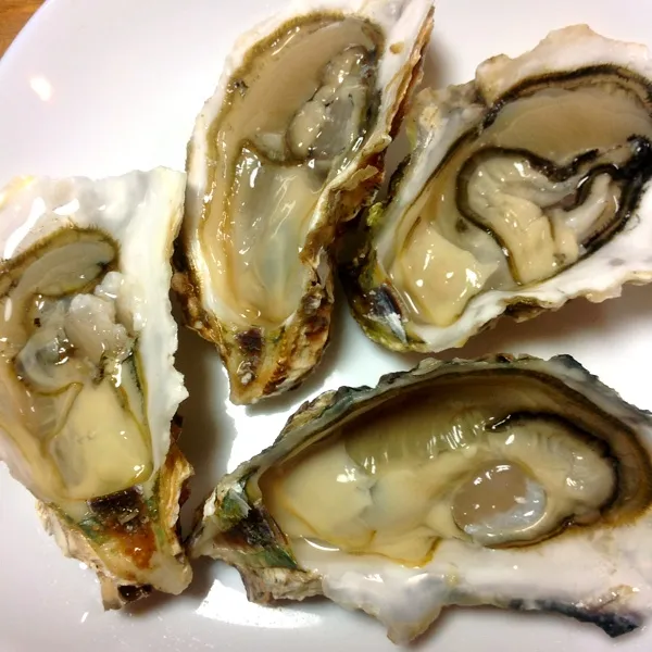 カキフライ・生牡蠣・焼き牡蠣
的矢牡蠣と浦村牡蠣食べ比べ〜(｡>∀<｡)
ぜーんぶうま〜い(｡>∀<｡)|ぃちさん