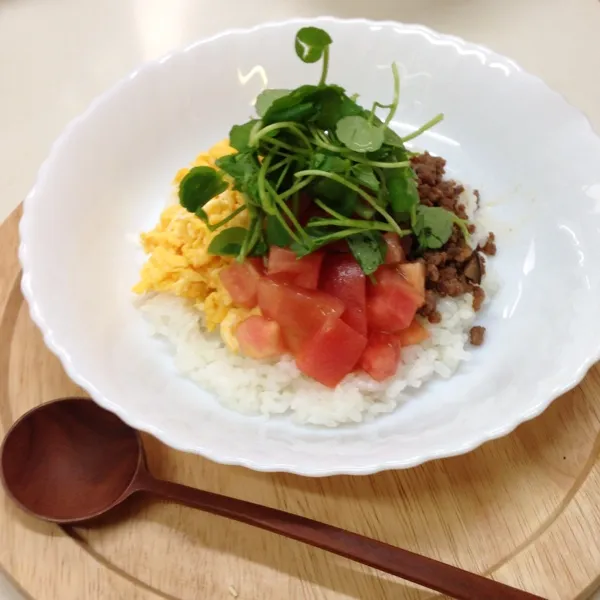 お昼は4色丼？そぼろ・炒り卵(こんぶ茶)、トマトとクレソン(玉ねぎドレッシング) でした(๑•⌄•๑)ෆˊ̖|nonchiさん