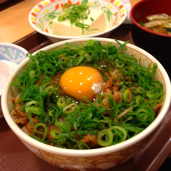 Snapdishの料理写真:夜:ネギ玉牛丼
新米フェアで30円引きだった〜♫
安いのにお腹満足でうれしー（＾ω＾）|ぺろたんさん