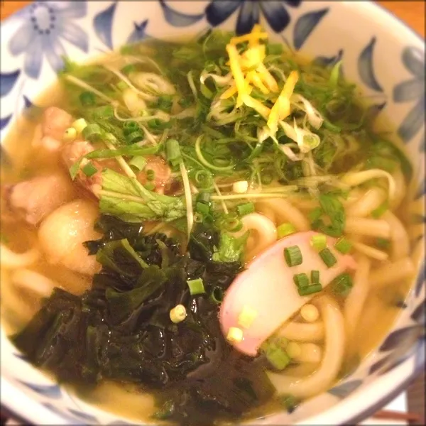 夜:鶏の治部煮と九条ネギのうどん
暑いのでさっぱりうどん(^o^)九条ネギがいいかんじ☆|ぺろたんさん