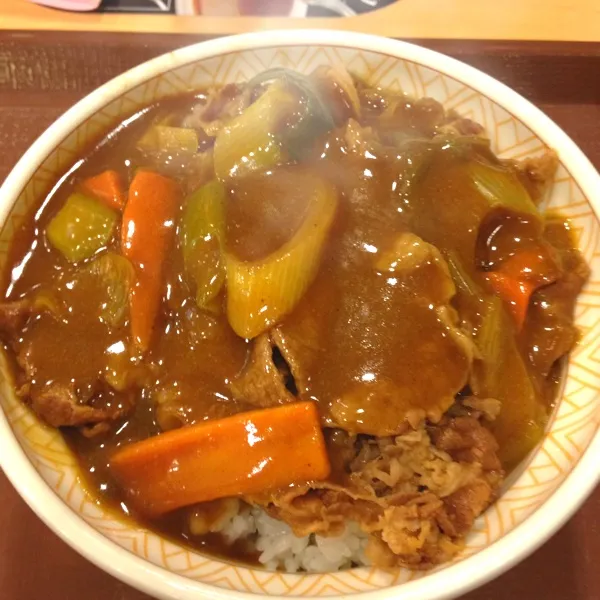 夜:カレー南蛮牛丼、ねぎ玉牛丼
 とろ旨〜♪( ´θ｀)ノ|ぺろたんさん