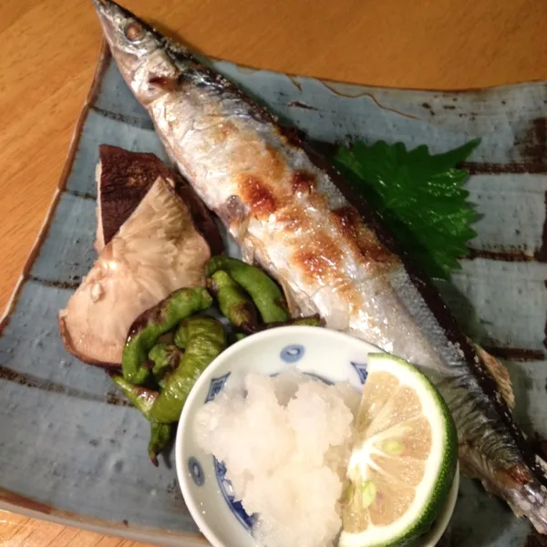 今日は丸々太った秋刀魚とサザエのお刺身
トロトロ豆腐に 蕗の薹味噌で一杯やってた旦那
私は豆腐だけで我慢(￢ω￢;A)|Yuriさん