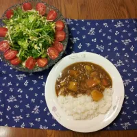 Snapdishの料理写真:カレーライス＊水菜のサラダ
一日雪が降ったりやんだりでした( ノД`)…
寒くてメニューに困った日は、カレーでしょ♪|sakanechiさん