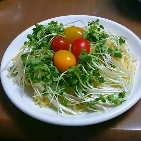 適当ラーメンサラダ。ゴマドレッシングかけたら、出来上がり。だれでもできる。|masahiroさん