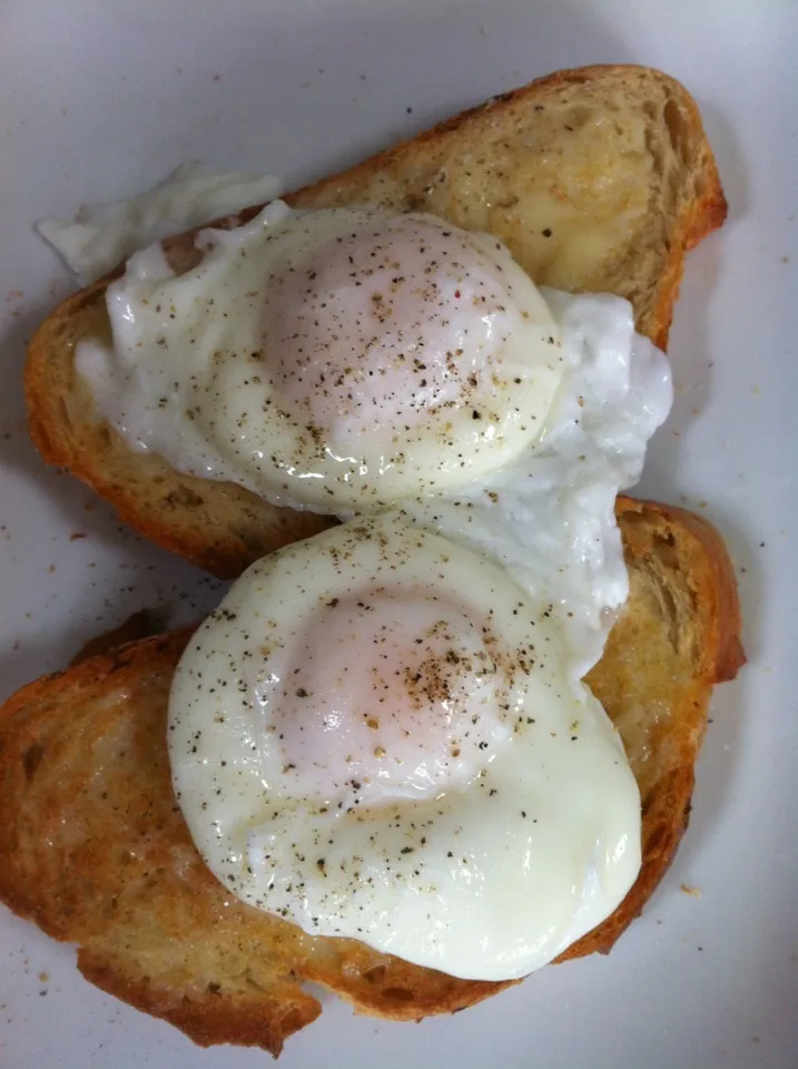 Poached eggs on garlic and rosemary toast.|Emma Proe Was Duncalfさん