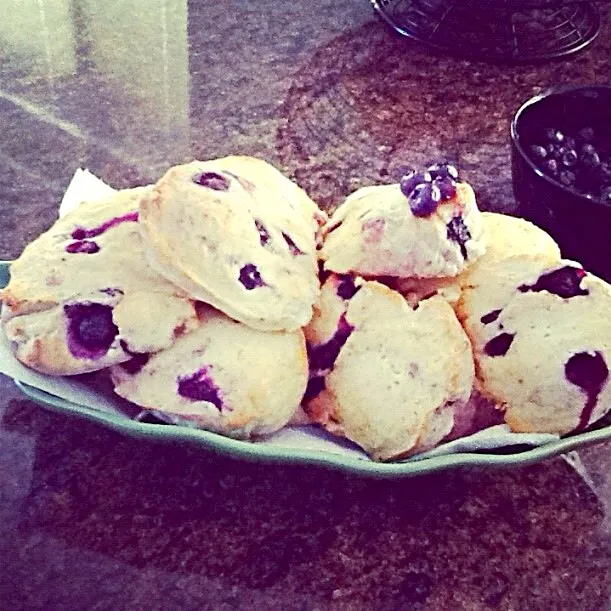 Blueberry scones|Natasha Kamboさん