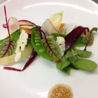 Spring vegetable salad with cauliflower puree and pickled mustard seed|Gardner Olesonさん