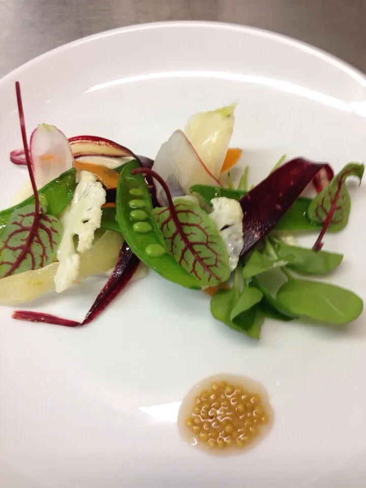 Spring vegetable salad with cauliflower puree and pickled mustard seed|Gardner Olesonさん