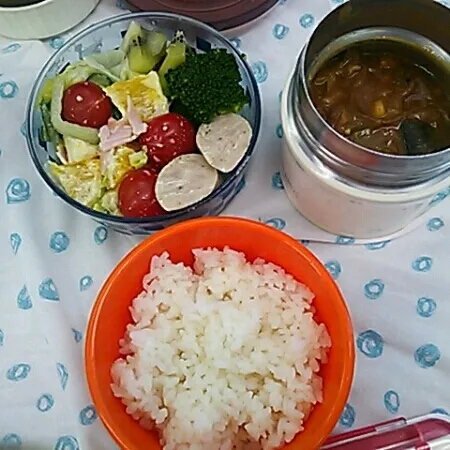 今日のお弁当は３日目のカレー。
カレーを振っといてあれやけど、キャベツのサラダにサンキストオレンジぶつ切りで入れたら美味しいね(*´∇｀*)
今度ここにツナも入れたいかも。|sasakumanさん